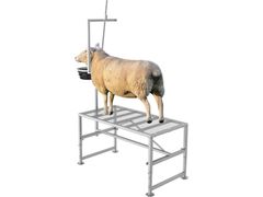 Lot 56-796640 - undefined