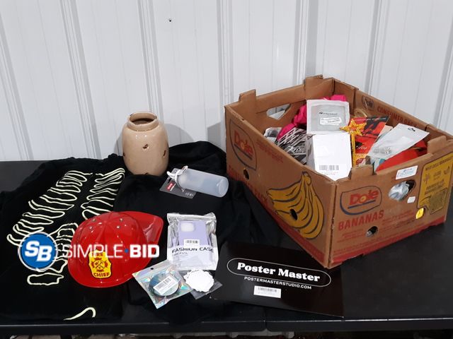 Lot 58-33066 - BOX of Small amazon items - variety of items