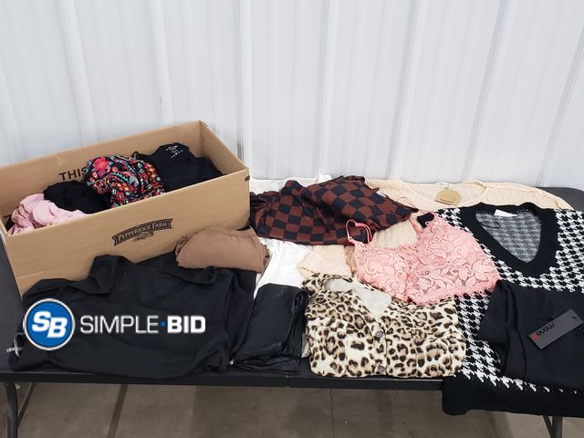 Lot 58-77839 - CLOTHING! Lot of Women's Clothing - variety of styles - Mostly 1xL/2XL - lightly worn to brand new
