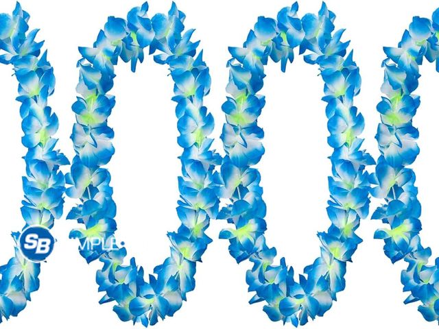 Lot 58-50589 - New GHGMAO 4PCS Hawaiian Flower Leis for Luau Parties - Tropical Party Decorations &amp; Favors, Haw...