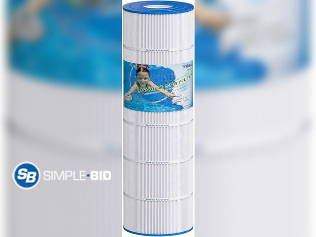 Lot 58-29288 - New TOREAD Pool Replacement Filter for PA175, Hayward CX1750RE, C1750, Unicel C-8417, Filbur FC-1294...