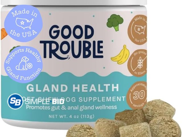 Lot 58-56338 - New Gland Health Soft Chew Supplements for Dogs - Fruit Blend Flavor - Promotes Digestive Health &am...