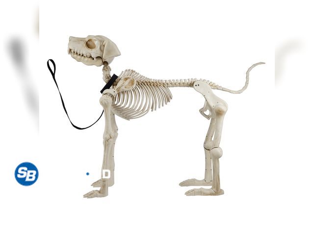 Lot 58-32578 - New 60 Inch White Skeleton Dog, Halloween Decoration, by Way to Celebrate