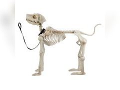 Lot 58-32578 - undefined