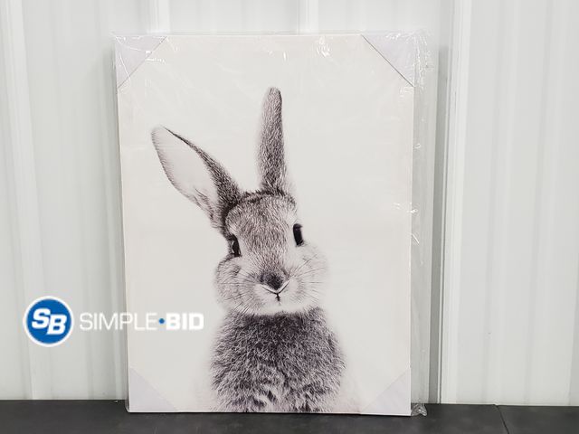 Lot 58-74517 - Bunny Canvas Print  18 x 24"