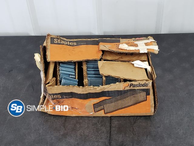 Lot 58-71894 - Pasalade Galvanized 1/2" Staples