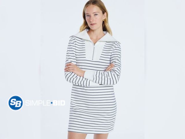 Lot 58-65385 - New Free Assembly Women's and Women's Plus Half Zip Mini Dress with Long Sleeves, Size XL