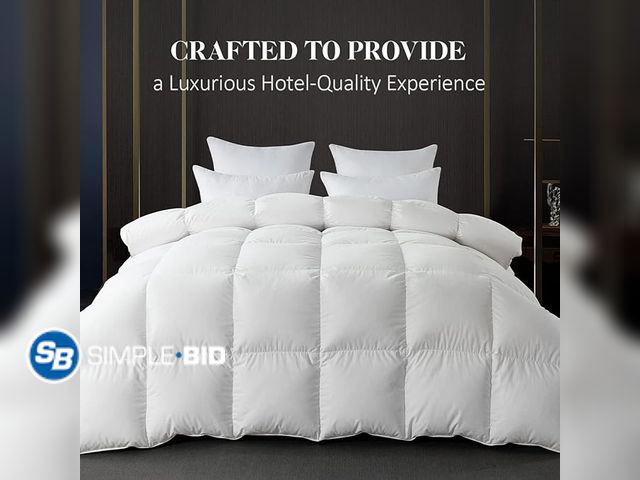 Lot 58-28689 - WhatsBedding White Queen Size Feather Down Fiber Comforter, Filled with Feather and Down Fiber, All ...