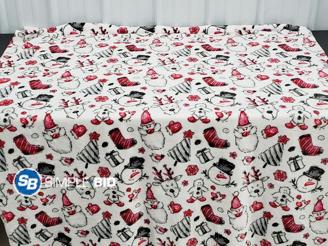 Lot 58-77097 - Snowman Plush Throw Blanket