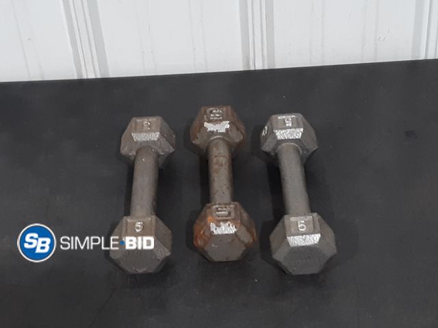 Lot 58-36001 - Lot of (3) Small Dumbbell Hand Weights