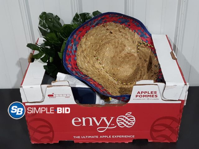 Lot 58-27261 - BOX of Small amazon items and more - various items - unused