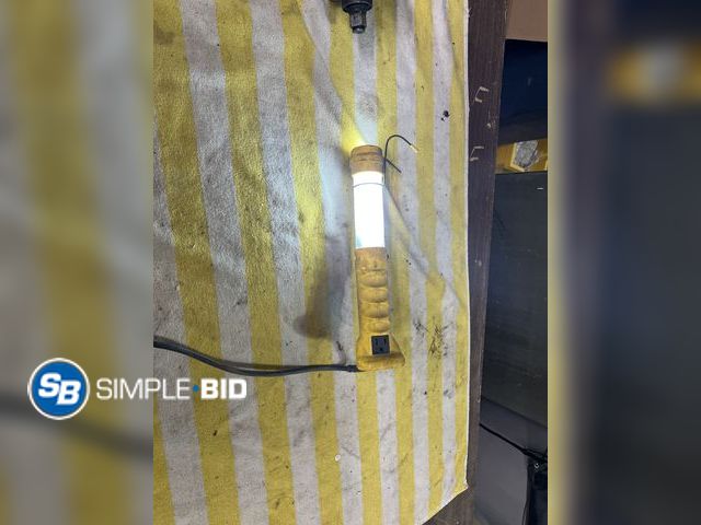 Lot 58-33839 - Trouble Light