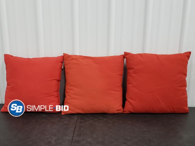 Lot 58-69322 - Lot of (3) Decorative Throw Pillows - Pier 1 and more - in good condition