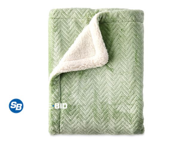 Lot 58-26951 - New Parent's Choice Plush Reversible Green Unisex Polyester Baby Blanket