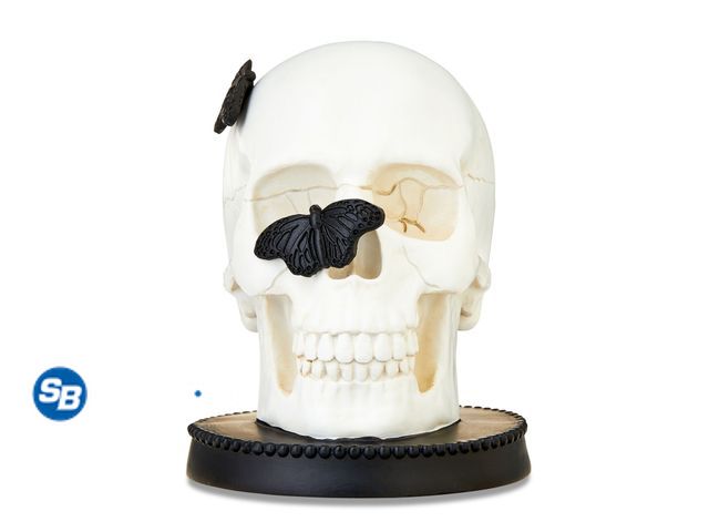 Lot 58-27739 - New Halloween White Skull with Butterflies Tabletop Decor, 6 in, by Way To Celebrate