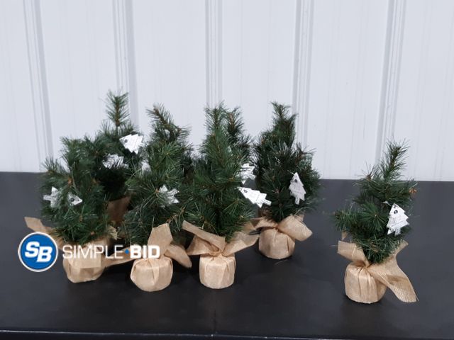Lot 58-21973 - CHRISTMAS IN JULY! Lot of (12) New Mini TREES with burlap -- for indoor use only