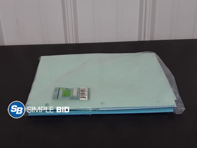 Lot 58-26401 - Lot of (12) Plastic Pocket Folder with Holes