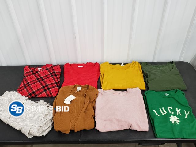 Lot 58-40545 - Lot of Women's Clothing - variety of styles - SIZE L - used but in good condition