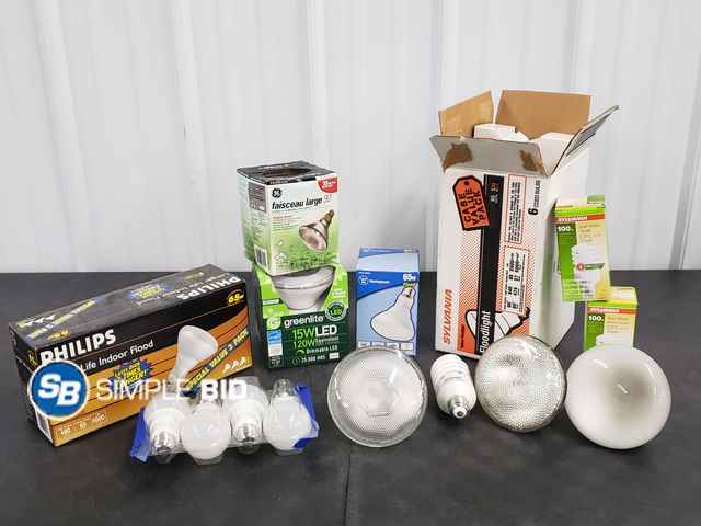 Lot 58-73732 - Large Lot of Lightbulbs - variety of styles - appears unused