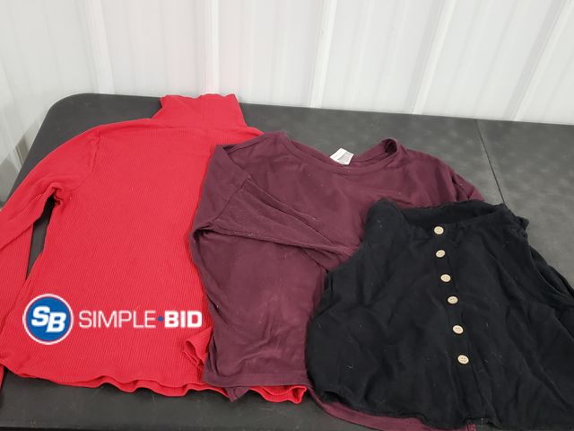 Lot 58-77602 - Lot of (6) Women's Tops - Size L/XL
