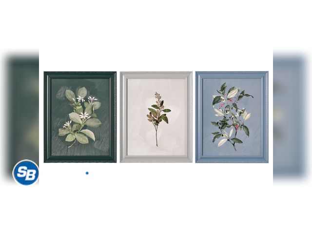 Lot 58-29397 - New Beautiful by Drew Framed Vintage Botanical Color Block set of 3