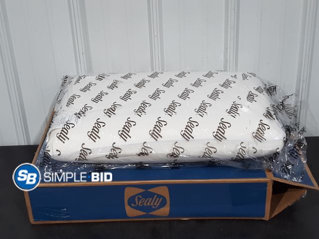 Lot 58-35246 - Sealy Memory Gel Pillow - New