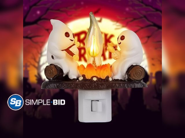 Lot 58-21479 - New Ghost Campfire Flickering Night Light, 3D Small Electric Faux Campfire Night Light,Ghosts Campfi...