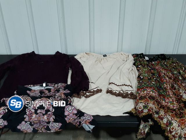Lot 58-72342 - Lot of Women's Boutique Shirts - Tunics -- Skirts - Dress - various styles - sizes Range from L-XL -...
