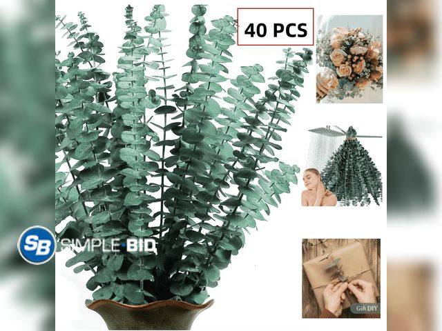 Lot 58-51519 - New 40 Pack Natural Dried Eucalyptus Bundle,17 inch Preserved Eucalyptus for Shower, Hanging Eucalyp...