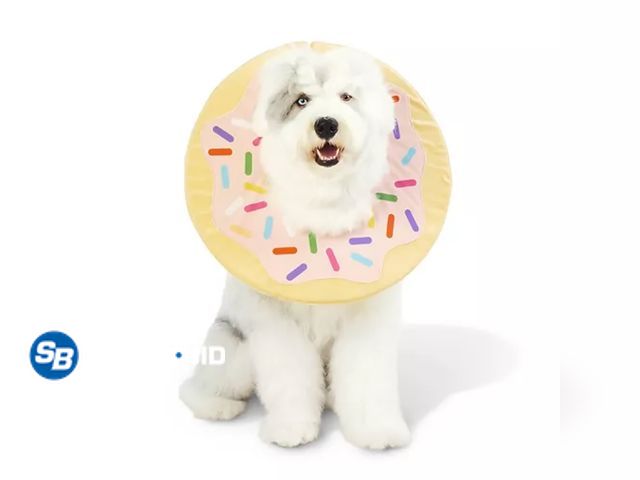 Lot 58-32720 - Hyde &amp; EEK! Boutique Donut Neckwear Dog and Cut Costume - appears unused