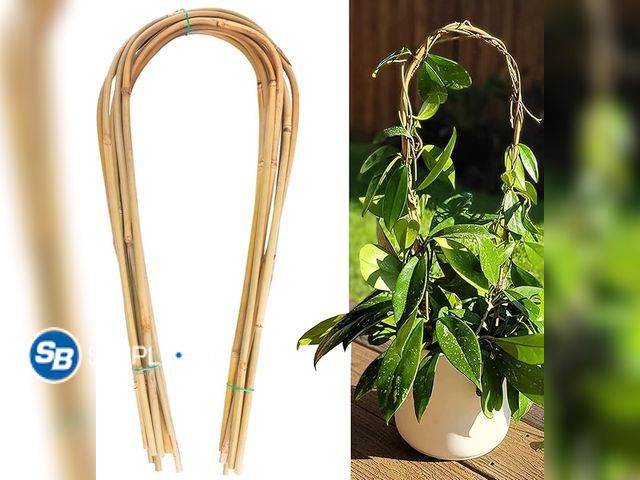Lot 58-21525 - New Avalution 16" Natural Bamboo Plants Trellis U-Hoop,Bamboo Gaeden Trellis U-Shape for Climbing Pl...