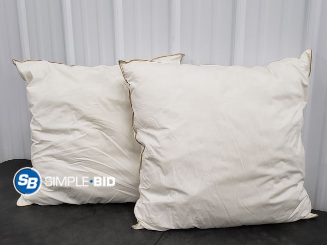 Lot 58-75804 - Lot of (2) West Elm X-Large 20" Throw Pillows- Light Use