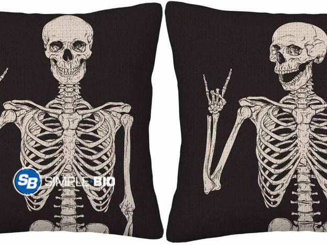 Lot 58-77534 - Set of (4) New Funny Skull Throw Pillow Covers,Human Skeleton Skull Posing Black White Decorative Pi...