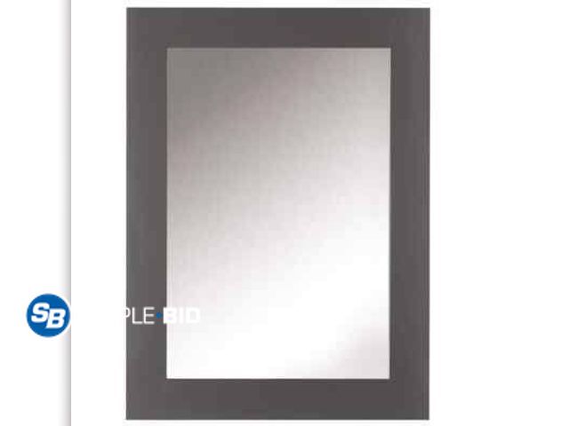 Lot 58-72917 - New Sonoma 22 in. W x 30 in. H Rectangular Framed Wall Mount Bathroom Vanity Mirror in Dark Charcoal
