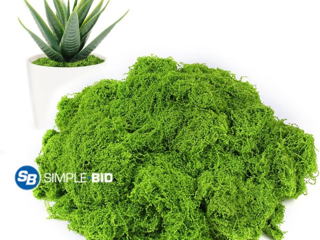 Lot 58-80781 - New Artificial Moss for Crafts 5.3oz, Fake Moss for Indoor Potted Plants Fairy Garden Decor, Model M...