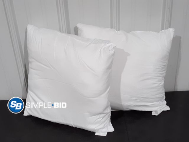 Lot 58-29488 - Lot of (2) 18" x 18" Pillow Inserts - Appears Unused