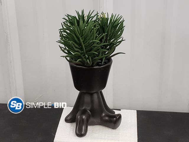 Lot 58-53688 - Succulant Decor