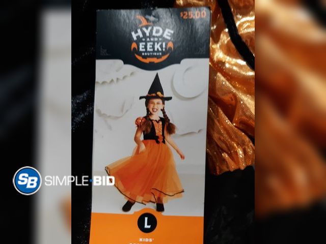 Lot 58-32704 - Hyde and Eek Kids Witch Costume Size Large - new