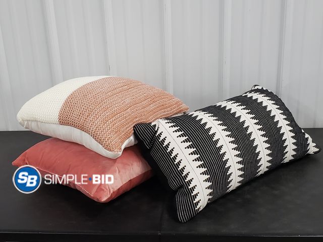 Lot 58-59530 - Lot of (3) Throw Pillows - Lightly Used But in Good Condition