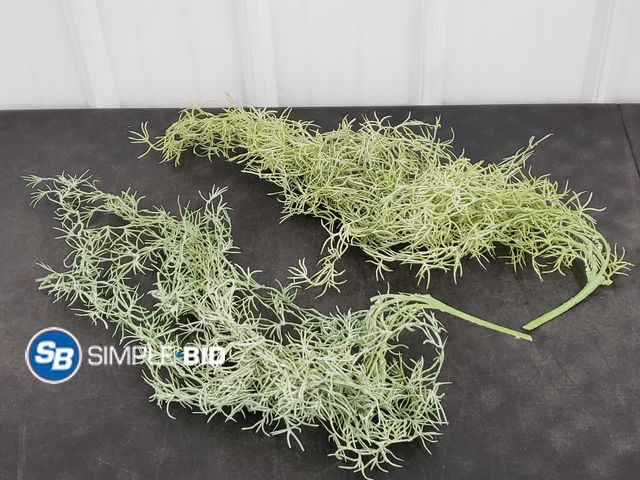 Lot 58-53684 - Greenery Decor Pieces