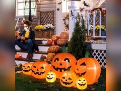 Lot 58-32521 - undefined