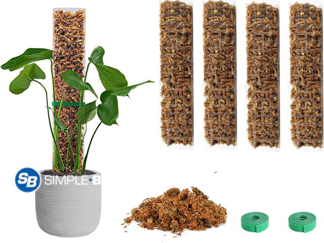 Lot 58-60046 - New EOX 4 Pcs 15 Inch Plastic Moss Pole for Plants Monstera Set with 5.3oz/150g Sphagnum Moss, Plant...