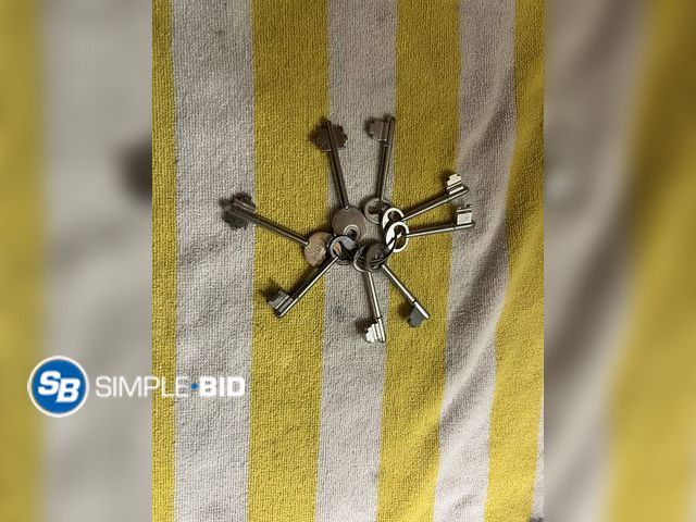 Lot 58-38670 - Key Ring with 8  Skeleton Keys