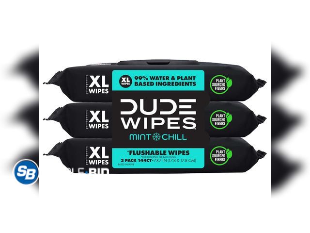Lot 58-68474 - New DUDE Wipes Mint Chill Flushable Wipes - Extra-Large Adult Wet Wipes - 3 Pack (144 Count) - Infus...