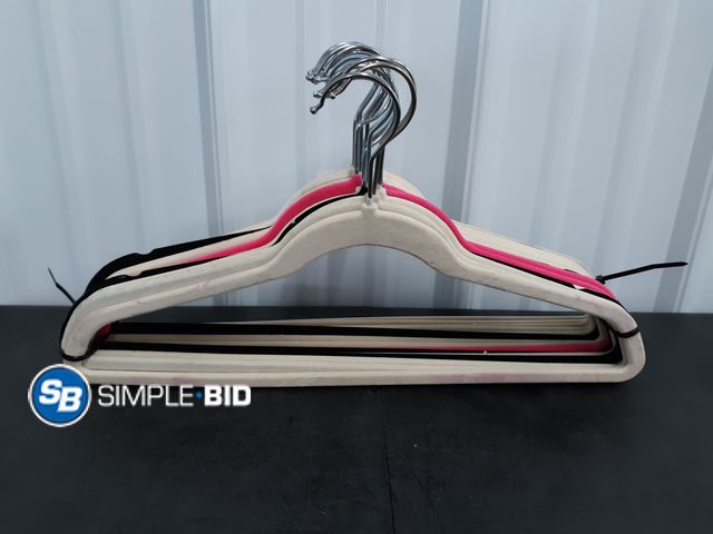 Lot 58-74581 - Lot of (17) Velvet Hangers - Light use - in good condition - variety of colors