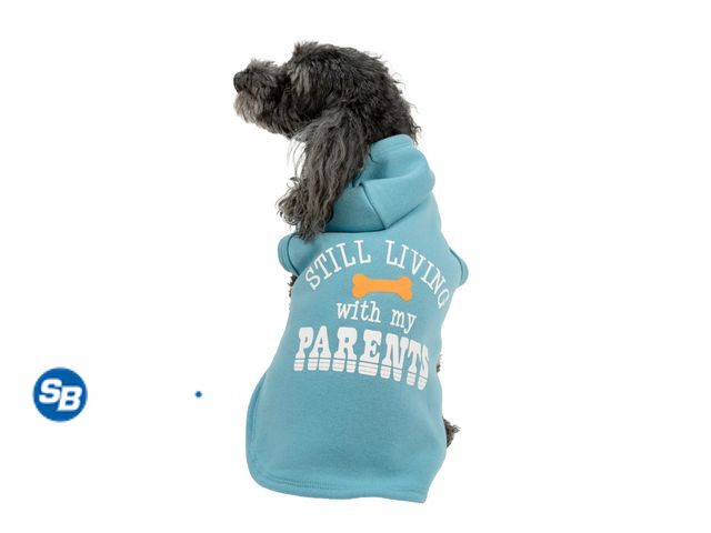 Lot 58-17820 - New Vibrant Life Still Living with My Parents Spring Dog and Cat Hoodie, Blue, XS