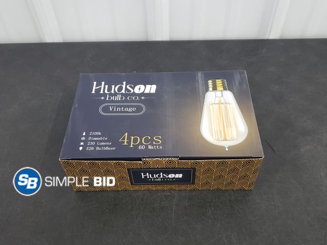 Lot 58-72941 - Hudson Bulb Co - Vintage  - 3 Pack - New