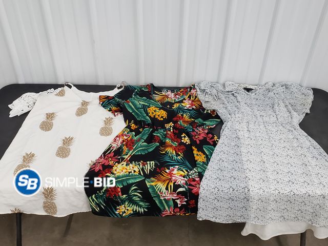 Lot 58-77607 - Lot of (3) Various Style Women's Dresses - L/XL