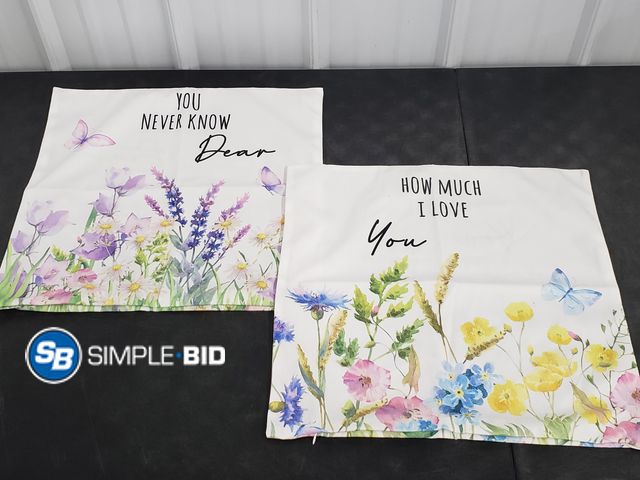 Lot 58-54285 - New Set of (2) New Pillow Coverings - How Much I love you -- You never Know Dear - approx 18" x 18"