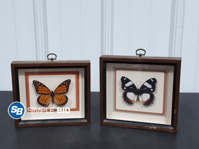 Lot 58-28955 - Lot of (2) Butterfly Frames 7 x 7 1/2" - Used